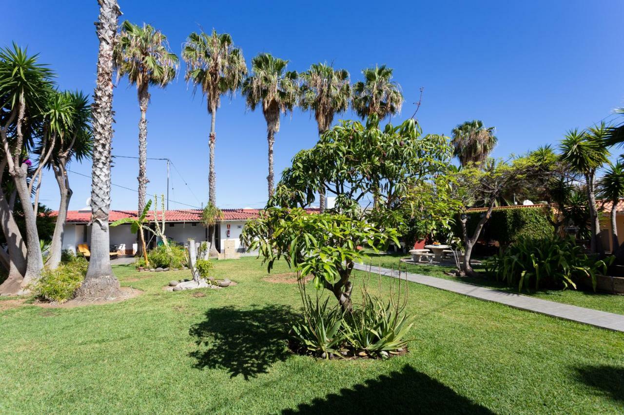 Finca La Gaviota - Las Palmeras Icod De Los Vinos Exteriör bild
